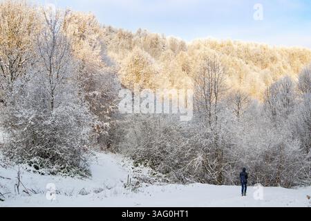 Eine Einzelfigur in dunkler Kleidung spaziert auf einem verschneiten Pfad durch einen Wald aus schneebedeckten Bäumen unter teilweise bewölktem Himmel. Stockfoto