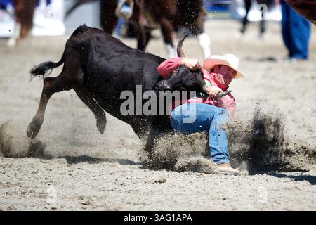 26. August 2012 - San Juan Capistrano, Kalifornien, USA - Steer Wrestler Nick Guy of Sparta, WI, tritt an der Rancho Mission Viejo Rodeo in San Juan Capistrano, CA. An (Foto: © Matt Cohen/ZUMAPRESS.com) Stockfoto