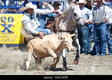 26. Aug. 2012 – San Juan Capistrano, Kalifornien, USA – Steer Wrestler Bray Armes aus Gruver, TX, tritt an der Rancho Mission Viejo Rodeo in San Juan Capistrano, CA. An (Foto: © Matt Cohen/ZUMAPRESS.com) Stockfoto