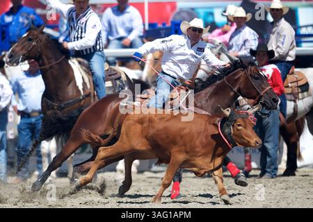 26. August 2012 – San Juan Capistrano, Kalifornien, USA – Teamroper Trevor Brazile von Decatur, TX, tritt an der Rancho Mission Viejo Rodeo in San Juan Capistrano, CA. An (Foto: © Matt Cohen/ZUMAPRESS.com) Stockfoto