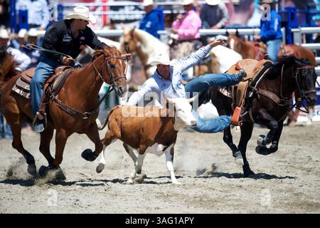 26. Aug. 2012 - San Juan Capistrano, Kalifornien, USA - Steer Wrestler Gabe Ledoux aus Kaplan, LA, tritt an der Rancho Mission Viejo Rodeo in San Juan Capistrano, CA. An (Foto: © Matt Cohen/ZUMAPRESS.com) Stockfoto