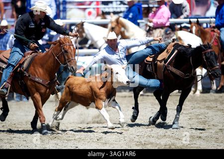 26. Aug. 2012 - San Juan Capistrano, Kalifornien, USA - Steer Wrestler Gabe Ledoux aus Kaplan, LA, tritt an der Rancho Mission Viejo Rodeo in San Juan Capistrano, CA. An (Foto: © Matt Cohen/ZUMAPRESS.com) Stockfoto