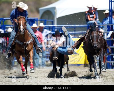 26. August 2012 - San Juan Capistrano, Kalifornien, USA - Steer Wrestler Ethen Thouvenell aus Napa, KALIFORNIEN, tritt an der Rancho Mission Viejo Rodeo in San Juan Capistrano, CA. An (Foto: © Matt Cohen/ZUMAPRESS.com) Stockfoto