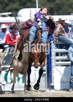26. August 2012 - San Juan Capistrano, Kalifornien, USA - im Rancho Mission Viejo Rodeo in San Juan Capistrano, CA. (Bild: © Matt Cohen/ZUMAPRESS.com) Stockfoto