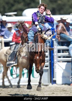26. August 2012 - San Juan Capistrano, Kalifornien, USA - im Rancho Mission Viejo Rodeo in San Juan Capistrano, CA. (Bild: © Matt Cohen/ZUMAPRESS.com) Stockfoto