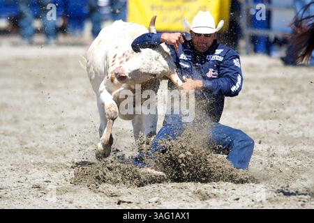 26. August 2012 - San Juan Capistrano, Kalifornien, USA - Steer Wrestler Dean Gorsuch aus Gering, NE, tritt an der Rancho Mission Viejo Rodeo in San Juan Capistrano, CA. An (Foto: © Matt Cohen/ZUMAPRESS.com) Stockfoto