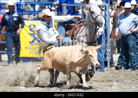 26. Aug. 2012 – San Juan Capistrano, Kalifornien, USA – Steer Wrestler Bray Armes aus Gruver, TX, tritt an der Rancho Mission Viejo Rodeo in San Juan Capistrano, CA. An (Foto: © Matt Cohen/ZUMAPRESS.com) Stockfoto