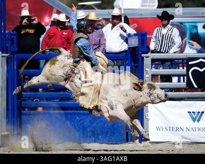 26. August 2012 - San Juan Capistrano, Kalifornien, USA - Stierreiter Sammy Matthews aus Springville, KALIFORNIEN, reitet bei der Rancho Mission Viejo Rodeo in San Juan Capistrano, CA. (Foto: © Matt Cohen/ZUMAPRESS.com) Stockfoto