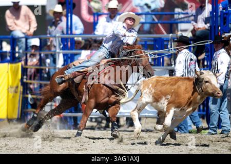 26. August 2012 – San Juan Capistrano, Kalifornien, USA – Teamroper Tyler Wade of Terrell, TX, tritt an der Rancho Mission Viejo Rodeo in San Juan Capistrano, CA. An (Foto: © Matt Cohen/ZUMAPRESS.com) Stockfoto