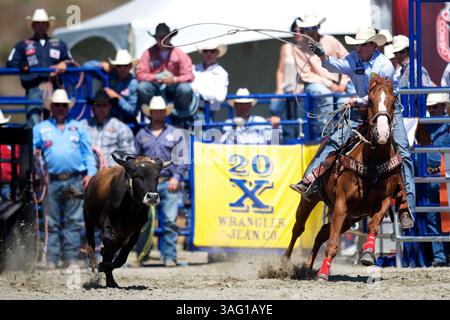 26. August 2012 – San Juan Capistrano, Kalifornien, USA – Teamroper Garrett Tonozzi aus Fruita, CO, tritt an der Rancho Mission Viejo Rodeo in San Juan Capistrano, CA. An (Foto: © Matt Cohen/ZUMAPRESS.com) Stockfoto