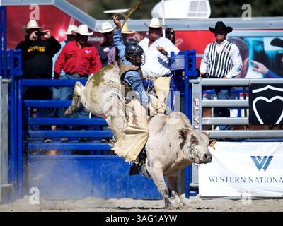 26. August 2012 - San Juan Capistrano, Kalifornien, USA - Stierreiter Sammy Matthews aus Springville, KALIFORNIEN, reitet bei der Rancho Mission Viejo Rodeo in San Juan Capistrano, CA. (Foto: © Matt Cohen/ZUMAPRESS.com) Stockfoto