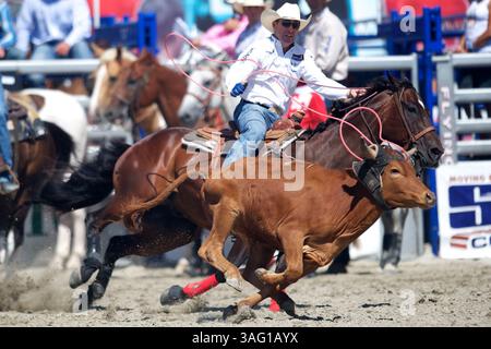 26. August 2012 – San Juan Capistrano, Kalifornien, USA – Teamroper Trevor Brazile von Decatur, TX, tritt an der Rancho Mission Viejo Rodeo in San Juan Capistrano, CA. An (Foto: © Matt Cohen/ZUMAPRESS.com) Stockfoto