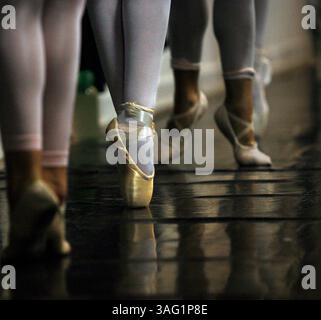 BILDUNTERSCHRIFT: (St. Petersburg 21.09.07) Junge lokale Balletttänzer stehen en pointe während eines One-Night-Kurses mit der Moskauer Ballettballerina Oxana Gasnikova im St. Petersburg Shuffleboard Club Complex am Mirror Lake Drive am Freitag Abend, 21. September 2007. Gasnikova war in St. Petersburg, um junge lokale Tänzer für die diesjährige Show des russischen Nussknacker in Moskau vorzuspielen. Die Vorstellung findet am 21. Und 22. Dezember im Mahaffey Theater statt. Weitere Informationen finden Sie unter www.nutcracker.com..STORY ZUSAMMENFASSUNG: Oxana Gasnikova, vom Moskauer Ballett, wird eine Meisterballettklasse unterrichten Stockfoto