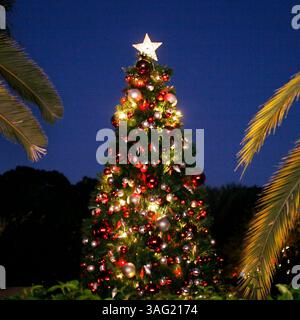 LARGO - Montag (17.12.2007) - LARGO TIMES COVER - 1) schlendern Sie durch die wunderschönen Florida Botanical Gardens und bewundern Sie das Pinellas County, Ûªs das beste Lichterfest mit mehr als 425.000 Lichtern am Freitag, 21. Dezember, von 18:00 bis 21:00 Uhr. Familien sind eingeladen, sich bei der kostenlosen Freitagabend- und Garden Lights-Veranstaltung zu entspannen, die Erfrischungen und musikalische Unterhaltung durch das Lyle Warner Trio bietet. Für eine vorgeschlagene Spende erhalten Kinder ein Foto mit Mutter Natur. Spenden werden für die Botanical Gardens in Florida verwendet. DOUGLAS R. CLIFFORD - Times (Kreditbild: St. Petersburg Times/Z Stockfoto