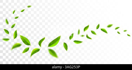 Frische grüne Minze hinterlässt Wellen. Frischeeffekt. Fliegendes Laub. Veganes, ökologisches, naturbelassenes Design. Stock Vektor