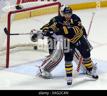 NHL-Buffalo Sabres vs Minnesota Wild, Mittwoch, 24. März 2012 Buffalo Sabres Linksflügel Thomas Vanek (26) versucht, einen Puck an Minnesota Wild Torwart Josh Harding (37) während der dritten Phase zwischen den Buffalo Sabres vs Minnesota Wild aus dem First Niagara Center, Buffalo, New York, 7. März 2012 zu überführen.(Credit Image: © Nick Loverde/Cal Sport Media/ZUMAPRESS.com) Stockfoto