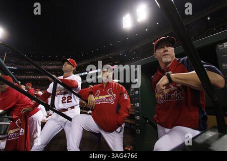 3. Oktober 2012 - St. Louis, MO, USA - Mitglieder des Trainerstabs der St. Louis Cardinals, von links, Pitching Coach Derek Lilliquist, Manager Mike Matheny, Banktrainer Mike Aldrete und Schlagtrainer Mark McGwire, beobachten das Spiel aus dem Dugout während des letzten regulären Saisonspiels, ein 1-0 Sieg gegen die Cincinnati Reds im Busch Stadium in St. Louis, Missouri, am Mittwoch, 3. Oktober 2012. (Bild: © Chris Lee/MCT/ZUMAPRESS.com) Stockfoto