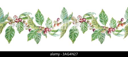 Kaffeepflanze mit grünen Blättern, Beeren und Blumen, nahtloser Rand. Handgezeichnete Aquarellillustration isoliert auf weiß. Für Karten, Etiketten, Menü DE Stockfoto
