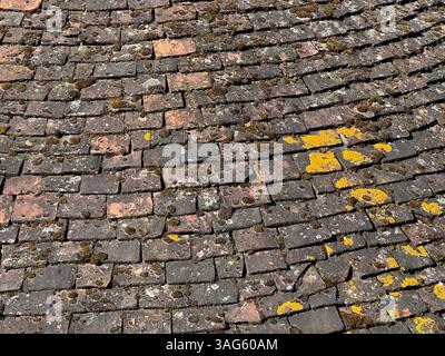 Rustikale alte, handgefertigte Dachziegel bedeckt mit Moos und Flechten in der Sonne. England, Großbritannien. Stockfoto