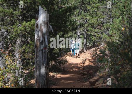 Wanderer erkunden den malerischen Artemis-Naturpfad in den Troodos-Bergen, umgeben von üppigem Grün und zerklüftetem Gelände an einem sonnigen Tag Stockfoto