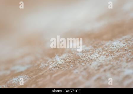 Makroporen von Schimmelpilzsporen, die auf der Haut der Lederschimmelpilze gewachsen sind, sind eine große und taxonomisch vielfältige Anzahl von Pilzarten, bei denen das Wachstum von Hyphae r Stockfoto
