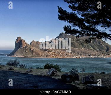 18. März 2011 - Hout Bay Harbor, Westkap, Südafrika - Hout Bay Hafen eingerahmt von einem Baum, an der Atlantikküste der südlichen Kap-Halbinsel Africaâ, 20 km südlich von Kapstadt, fotografiert vom Peak Drive von Chapmanâ. Der Sentinel (links), ein Wahrzeichen Berg an seiner Westspitze, bewacht den Eingang zur Bucht und zum Hafen. (Bild: © Arnold Drapkin/ZUMAPRESS.com) Stockfoto