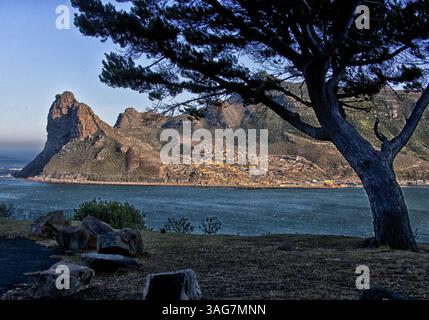 18. März 2011 - Hout Bay Harbor, Westkap, Südafrika - Hout Bay Hafen eingerahmt von einem Baum, an der Atlantikküste der südlichen Kap-Halbinsel Africaâ, 20 km südlich von Kapstadt, fotografiert vom Peak Drive von Chapmanâ. Der Sentinel (links), ein Wahrzeichen Berg an seiner Westspitze, bewacht den Eingang zur Bucht und zum Hafen. (Bild: © Arnold Drapkin/ZUMAPRESS.com) Stockfoto
