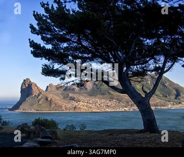 18. März 2011 - Hout Bay Harbor, Westkap, Südafrika - Hout Bay Hafen eingerahmt von einem Baum, an der Atlantikküste der südlichen Kap-Halbinsel Africaâ, 20 km südlich von Kapstadt, fotografiert vom Peak Drive von Chapmanâ. Der Sentinel (links), ein Wahrzeichen Berg an seiner Westspitze, bewacht den Eingang zur Bucht und zum Hafen. (Bild: © Arnold Drapkin/ZUMAPRESS.com) Stockfoto