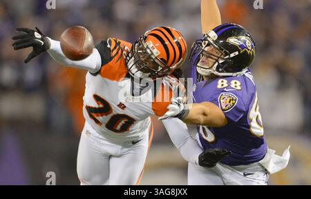 10. September 2012 - Baltimore, MD, USA - Cincinnati Bengals freie Sicherheit Reggie Nelson verteidigt einen langen Pass, der für Baltimore Ravens Tight End Dennis Pitta während der zweiten Halbzeit bestimmt ist, als die Baltimore Ravens die Cincinnati Bengals 44-13 in Baltimore, Maryland, am Montag, 10. September 2012 besiegen. (Kreditbild: © Doug Kapustin/MCT/ZUMAPRESS.com) Stockfoto