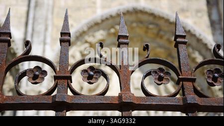 Schmiedezaun der Kathedrale in Chartres (Frankreich). Selektiver Fokus auf die Blüten. Stockfoto