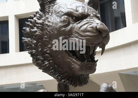 Mai 2012 – Washington, DC, USA – der Tiger ist Teil der Ausstellung „Circle of Animals/Zodiac Heads“ des chinesischen Künstlers Ai Weiwei im Hirshhorn Museum in Washington D.C. (Kreditbild: © Tish Wells/MCT/MCT/ZUMAPRESS.com) Stockfoto