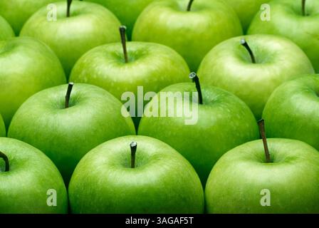Granny Smith Äpfel, Nahaufnahme Stockfoto