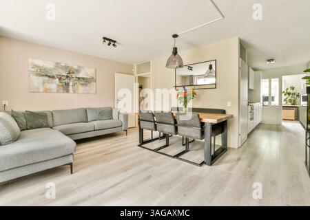 Ein eleganter und einladender Wohnbereich mit grauem Sofa, minimalistischem Dekor und Essbereich, der sich nahtlos in eine moderne Küche einfügt. Stockfoto