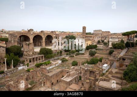 Rom, Latium, Italien, ITA - Forum Romanum 15.09.2021, Rom, Latium, Italien, ITA - Forum Romanum. Das Forum Romanum war das politische, soziale und religioese Zentrum des antiken ROMs. Rom Latium Italien *** Rom, Latium, Italien, ITA Forum Romanum 15 09 2021, Rom, Latium, Italien, ITA Forum Romanum das Forum Romanum war das politische, soziale und religiöse Zentrum des antiken Rom Latium Italien Stockfoto