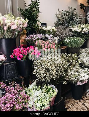 Typische europäische Blumengeschäfte mit verschiedenen Blumenarten und verschiedenen Farben, die Blumen sind auf schwarzen Eimern platziert. Stockfoto