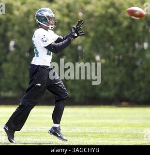 23. Mai 2012 - Philadelphia, PA, USA - Philadelphia Nnamdi Asomugha fängt am Mittwoch, den 23. Mai 2012, einen Ball während des Minicamps der Eagles im NovaCare Complex in Philadelphia, Pennsylvania. (Bild: © David Maialetti/Philadelphia Daily News/MCT/ZUMAPRESS.com) Stockfoto