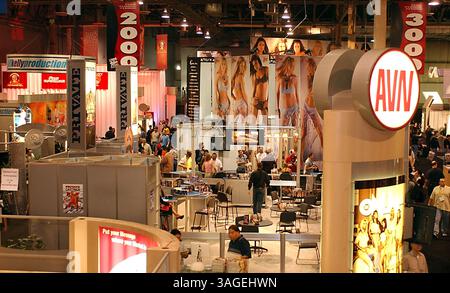 Januar 2004; Las Vegas, NV, USA; Blick auf den Boden auf der Expo für Erwachsene 2004. (Bild: Vaughn Youtz/ZUMAPRESS.com) Stockfoto
