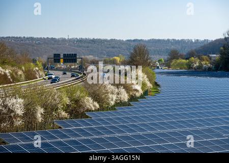 Große Auswahl an Photovoltaik-Solarpaneelen neben der Autobahn Stockfoto
