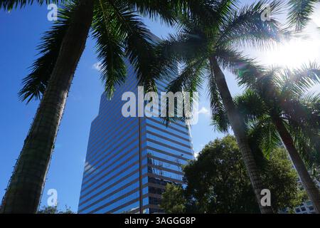 701 Brickell ist ein moderner Bürohochhaus im Finanzviertel Brickell in Miami, Florida, umgeben von Palmen Stockfoto