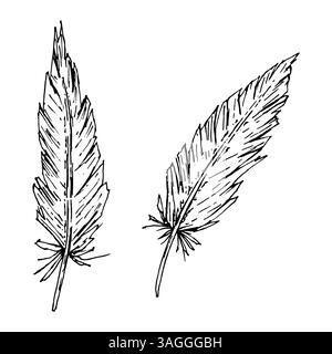 Vektor-Illustration von zwei handgezeichneten Federn in rustikalem Schwarz-weiß-Stil. Ideal für Boho-Hochzeitseinladungen, von Tribal inspirierte Projekte, natürlich Stock Vektor