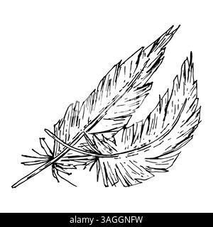 Vektorillustration zweier Kunstfedern mit strukturierten Tintenlinien. Ideal für Dekorationen mit Stammesthemen, Etiketten für natürliche Produkte und rustikale Hochzeitsdesigns Stock Vektor