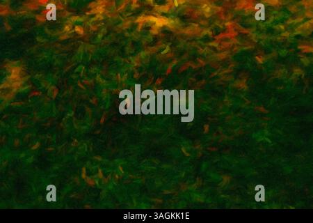 Enchanted Forest. Stockfoto