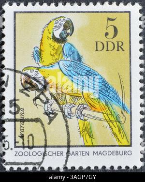 Gestempelte Briefmarke der DDR, auf der der Blaue-Gelb-Ara (Ara ararauna) zu sehen ist, um 1975. Stockfoto