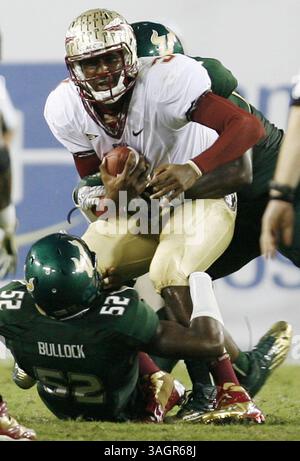 29. September 2012 - Tampa, FL, USA - Florida State Quarterback E.J. Manuel wird am Samstag, 29. September 2012 im Raymond James Stadium in Tampa, Florida, vom Linebacker Zack Bullock (52) heruntergezogen. Florida State besiegte Südflorida von 30 bis 17. (Kreditbild: © Stephen M. Dowell/MCT/ZUMAPRESS.com) Stockfoto