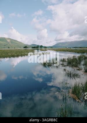 Das überflutete Derwent Water in Borrowdale im Lake District National Park, Cumbria, England Vereinigtes Königreich - Sommerlandschaft Derwentwater Stockfoto