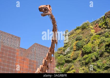 CaixaForum, Dinosaurier Skelett, Patagotitan Mayorum, Paseo del Prado, Madrid, Spanien Stockfoto