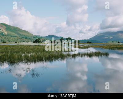 Das überflutete Derwentwater / Derwent Water in Borrowdale im Lake District National Park, Cumbria, England Großbritannien - Sommerlandschaft Stockfoto