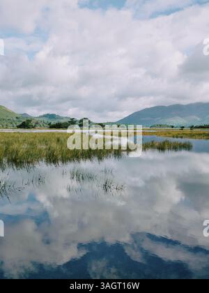 Das überflutete Derwentwater / Derwent Water in Borrowdale im Lake District National Park, Cumbria, England Großbritannien - Sommerlandschaft Stockfoto