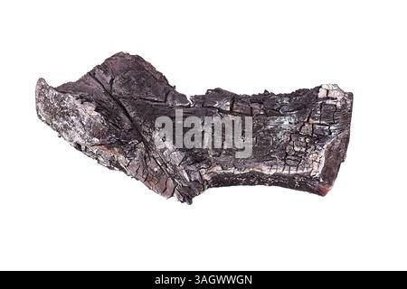 Burt, verkohltes schwarzes Holzstück Stockfoto