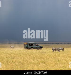 Stürmischer Himmel im Masai Mara. Zebra, equus Quagga, grasen im Vordergrund und ein Safari-Fahrzeug im Hintergrund. Stockfoto